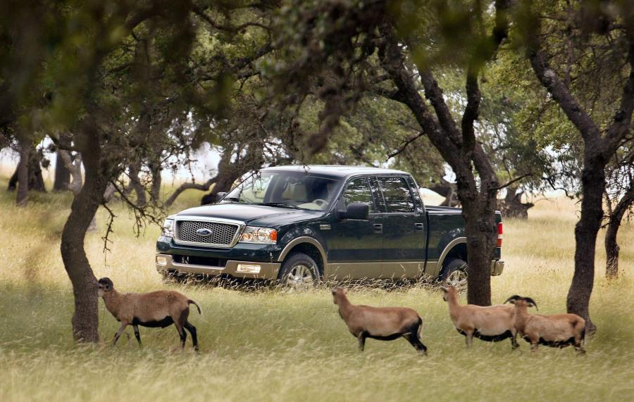  Ford F-150 SuperCrew Cab 2004 года  (фото 10 из 83)